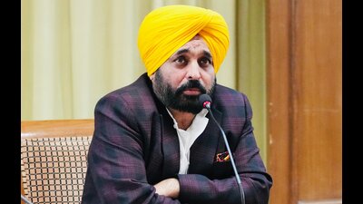 Punjab CM Bhagwant Mann (File) Punjab CM Bhagwant Mann (File)