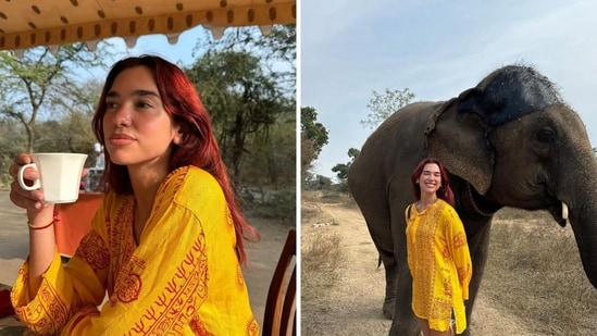 Dua Lipa shared new pictures from her time in India.