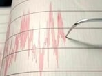 Recent earthquake swarm near Los Aengele's Coastline. (Representative Image) Recent earthquake swarm near Los Aengele's Coastline. (Representative Image)