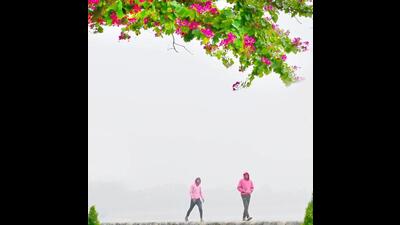 As per India Meteorological Department (IMD), cold day conditions will continue for the next two to three days and dense fog is also likely to continue in the mornings. (Ravi Kumar/HT)
