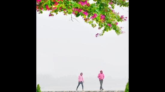 As per India Meteorological Department (IMD), cold day conditions will continue for the next two to three days and dense fog is also likely to continue in the mornings. (Ravi Kumar/HT)