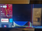 Snapshot of the broken TV shared on X. Snapshot of the broken TV shared on X.