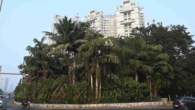 Navi Mumbai, India - Jan. 2, 2024:Palm Beach Road plot fetches record price, but 18 of 36 CIDCO at Nerul in Navi Mumbai, India, on Tuesday, January 2, 2024. (Photo by Bachchan Kumar/ HT PHOTO) (HT PHOTO) Navi Mumbai, India - Jan. 2, 2024:Palm Beach Road plot fetches record price, but 18 of 36 CIDCO at Nerul in Navi Mumbai, India, on Tuesday, January 2, 2024. (Photo by Bachchan Kumar/ HT PHOTO) (HT PHOTO)