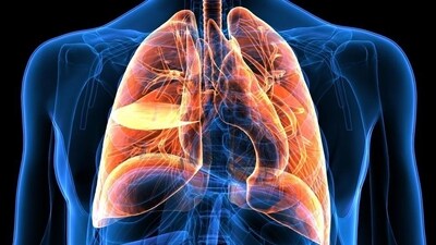 Type of allergy remedy can help treat lung cancer: Study (Shutterstock) Type of allergy remedy can help treat lung cancer: Study (Shutterstock)
