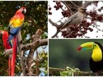 National Birds Day is celebrated anually on January 5 to raise awareness about bird conservation and the importance of protecting their habitats. On the occasion, here are ten stunning birds known for their striking appearance.&nbsp;(Unsplash)