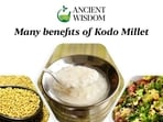 Kodo millet also known as cow grass, rice grass, ditch millet, and Native Paspalum has been in use in India for 3,000 years. Kodo millet also known as cow grass, rice grass, ditch millet, and Native Paspalum has been in use in India for 3,000 years.