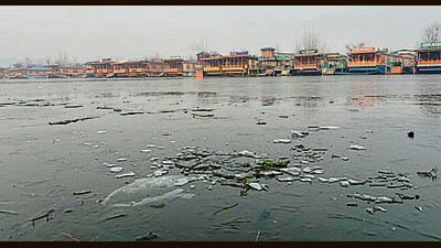 A layer of ice is formed over the surface of the Dal Lake during a cold morning in Srinagar on Wednesday. (ANI) A layer of ice is formed over the surface of the Dal Lake during a cold morning in Srinagar on Wednesday. (ANI)