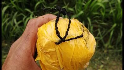 Border Security Force (BSF) troops on Wednesday recovered a packet containing around 530 grams of heroin, wrapped in yellow adhesive tape, on the outskirts of Naushera Dhalla village in Tarn Taran district. (Photo: X)