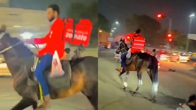 Zomato agent riding a horse to deliver an order in Hyderabad. (X/@ArbaazTheGreat1) Zomato agent riding a horse to deliver an order in Hyderabad. (X/@ArbaazTheGreat1)