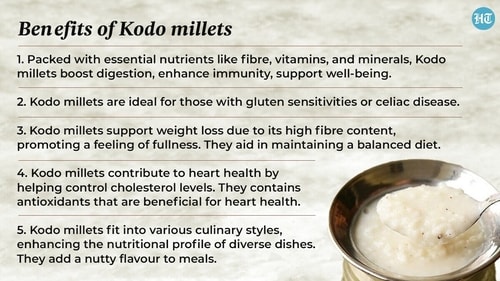 Kodo millets support weight loss as it has high fibre content and promotes feeling of fullness