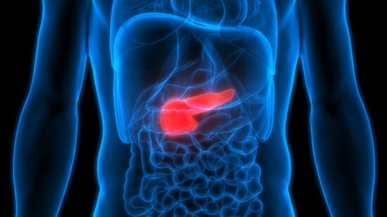 Gallbladder cancer: Stages, causes, risk factors, signs and symptoms, diagnosis, treatment, prevention tips (Photo by Shutterstock)