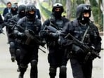 Marine Commando Force or MARCOs