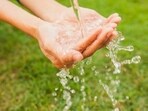 The “raw water” trend emerged a few years ago, encouraging people to drink from rivers, streams and lakes. There is even a website to help you find a local source. The “raw water” trend emerged a few years ago, encouraging people to drink from rivers, streams and lakes. There is even a website to help you find a local source.