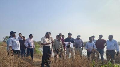 Joint team finds mangrove destruction at flamingo habitat in Nerul
