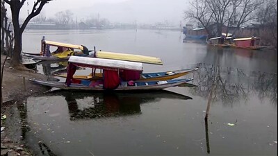 A layer of ice formed over the surface of the Dal Lake during a cold morning in Srinagar on Friday. (ANI)