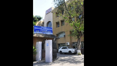 Arrears to ghost employees, seven Ludhiana MC employees suspended