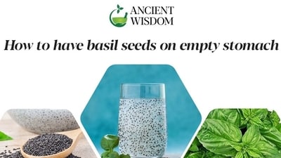 Basil seeds, scientifically known as Ocimum basilicum, have been in use for thousands of years. Basil seeds, scientifically known as Ocimum basilicum, have been in use for thousands of years.