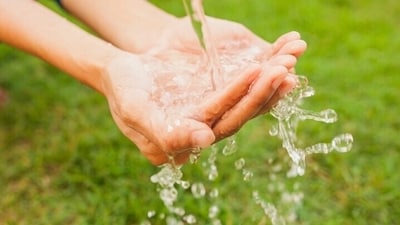 The “raw water” trend emerged a few years ago, encouraging people to drink from rivers, streams and lakes. There is even a website to help you find a local source. (Freepik) The “raw water” trend emerged a few years ago, encouraging people to drink from rivers, streams and lakes. There is even a website to help you find a local source. (Freepik)