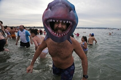 A participant wearing shark headgear exits the chilly waters of English Bay