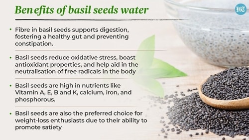 Basil seeds are a nutrient-rich powerhouse containing essential elements like fibre, vitamins, and minerals, contributing to overall well-being. Basil seeds are a nutrient-rich powerhouse containing essential elements like fibre, vitamins, and minerals, contributing to overall well-being.