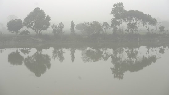 Dense Fog in some pockets over Rajasthan, East Uttar Pradesh, Bihar, Jammu, West Madhya Pradesh and in isolated pockets over Punjab and Delhi, IMD said in a release.&nbsp;(PTI)