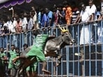 Jallikattu is an age-old event celebrated mostly in the state of Tamil Nadu as part of Pongal celebrations. (AP) Jallikattu is an age-old event celebrated mostly in the state of Tamil Nadu as part of Pongal celebrations. (AP)