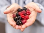 Berries are little powerhouses found in nature that are not only delicious but also nutrient-dense and can improve your health tremendously. &nbsp;Whether they are eaten raw, pureed into smoothies, or added to your favourite foods, including a range of berries in your diet can be a tasty and healthy approach to improve your overall health and wellbeing. Dr Dimple Jangda, Ayurveda & Gut Health Coach, shared some amazing health benefits of consuming berries in her recent Instagram post.(Unsplash)