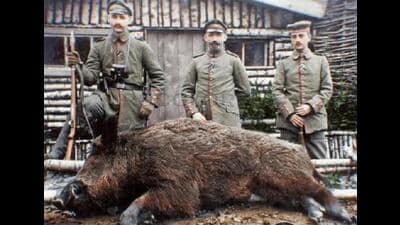 Wild boar from war history: Soldiers of the German Reserve Infantry’s Regiment 233 with a humongous boar they hunted with Army issue Gewehr 98 rifles on December 17, 1916, during World War I. This regiment, while operating under the 51 Reserve Division, would have taken part in the Second Battle of Ypres (Belgium), which involved the first large-scale use of poison gas. The realistic colorisation of this archival picture was undertaken by Italian artist and author Roberto Costanzo who works under the brand name of ROCOlor. Wild boar from war history: Soldiers of the German Reserve Infantry’s Regiment 233 with a humongous boar they hunted with Army issue Gewehr 98 rifles on December 17, 1916, during World War I. This regiment, while operating under the 51 Reserve Division, would have taken part in the Second Battle of Ypres (Belgium), which involved the first large-scale use of poison gas. The realistic colorisation of this archival picture was undertaken by Italian artist and author Roberto Costanzo who works under the brand name of ROCOlor.