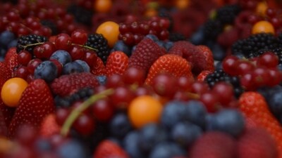 Antioxidant powerhouse: Blueberries, blackberries, and raspberries boast the highest antioxidant activity among commonly consumed fruits, second only to pomegranates. (Unsplash) Antioxidant powerhouse: Blueberries, blackberries, and raspberries boast the highest antioxidant activity among commonly consumed fruits, second only to pomegranates. (Unsplash)
