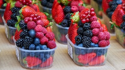 Superfood berries: Rich in antioxidants, berries are nutrient-dense superfoods that efficiently fend off free radicals and reduce oxidative stress. (Unsplash) Superfood berries: Rich in antioxidants, berries are nutrient-dense superfoods that efficiently fend off free radicals and reduce oxidative stress. (Unsplash)