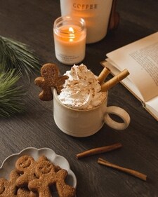A warming cup of coffee with a gingerbread topper (Instagram)