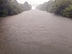 Continous rainfall causes flood situations in which Tenkasi Elephant bridge gets submerged, in Tenkasi. Tamil Nadu: Tourists barred from bathing at Old Courtallam Falls in Tenkasi due to flash flood 