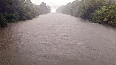 Continous rainfall causes flood situations in which Tenkasi Elephant bridge gets submerged, in Tenkasi. Tamil Nadu: Tourists barred from bathing at Old Courtallam Falls in Tenkasi due to flash flood (ANI Photo) Continous rainfall causes flood situations in which Tenkasi Elephant bridge gets submerged, in Tenkasi. Tamil Nadu: Tourists barred from bathing at Old Courtallam Falls in Tenkasi due to flash flood (ANI Photo)