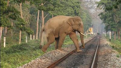 The incident happened near Mariani Railway Station at around 11.30pm on Saturday. (Representative Image) The incident happened near Mariani Railway Station at around 11.30pm on Saturday. (Representative Image)