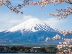 Mount Fuji in Japan (Shutterstock)