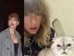 Taylor Swift's cat Olivia Benson has higher net worth than Travis Kelce