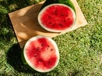 watermelon
