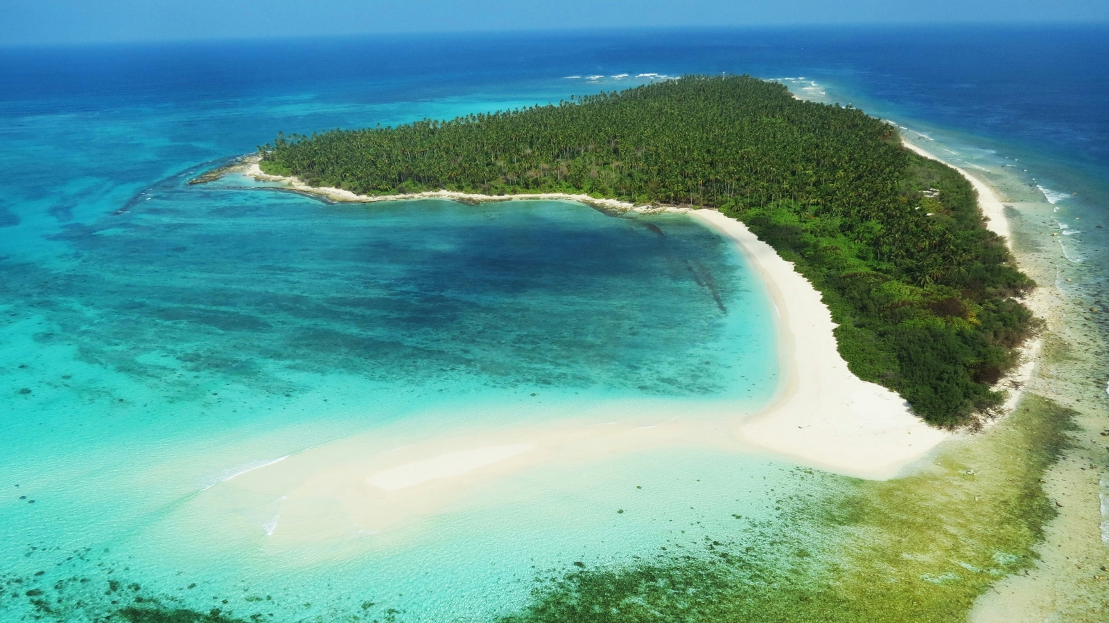 EaseMyTrip co-founder explains decision to suspend bookings for Maldives | Latest News India - Vimarsana News