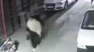 A police officer said the teams used video footage from CCTV cameras in the area to follow the suspect and arrest him. (videograb) A police officer said the teams used video footage from CCTV cameras in the area to follow the suspect and arrest him. (videograb)