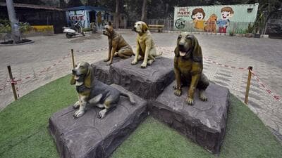The MCD horticulture department completed the civil work for the 0.65-acre park around 10 months ago. (Sanjeev Verma/ht photo) The MCD horticulture department completed the civil work for the 0.65-acre park around 10 months ago. (Sanjeev Verma/ht photo)