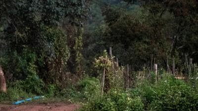 The claim on Monday comes days after the pro-talks faction of ULFA signed a tripartite agreement with the Centre and the Assam government (AFP FILE PHOTO) The claim on Monday comes days after the pro-talks faction of ULFA signed a tripartite agreement with the Centre and the Assam government (AFP FILE PHOTO)
