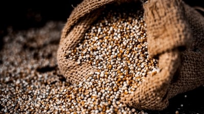 The coarse grains, also known as millets, are packed with health benefits