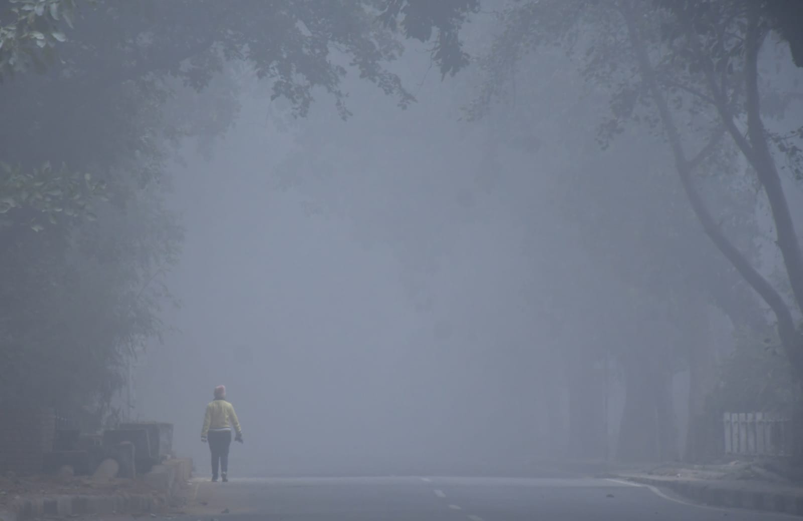 The fog and cold failed to deter this morning walker in Chandigarh on Monday. (Keshav Singh/HT) The fog and cold failed to deter this morning walker in Chandigarh on Monday. (Keshav Singh/HT)