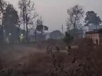 Chlorine gas leak reported in Dehradun Chlorine gas leak reported in Dehradun
