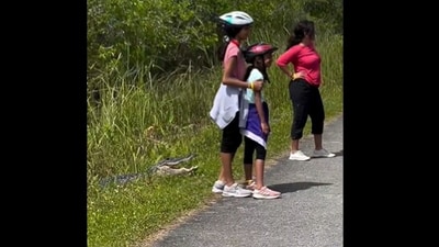 The image shows a few people posing in front of an alligator. (Screengrab) The image shows a few people posing in front of an alligator. (Screengrab)