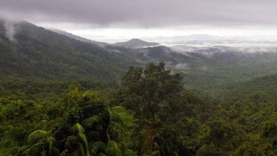 Change of land use of private forests to concrete patches would likely cause higher warming but also impact critical biodiversity. (Forest Department Goa) Change of land use of private forests to concrete patches would likely cause higher warming but also impact critical biodiversity. (Forest Department Goa)