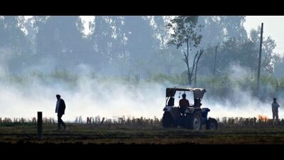 In 2023, Haryana reduced paddy stubble burning cases by 37% as compared to 2022 with 2,303 cases recorded till 30 November last year, while the number was 3,661 cases in the same period in 2022. (File)