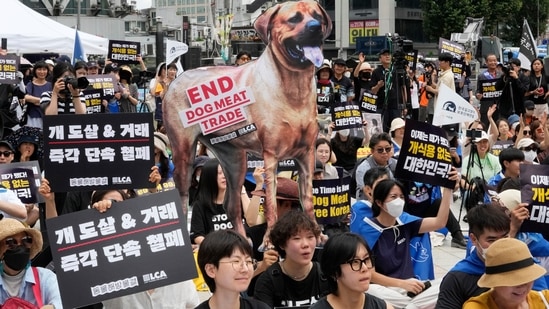 Criticism of the methods used in slaughtering dogs, such as electrocution or hanging, has contributed to the decline in consumption. (AP/File)