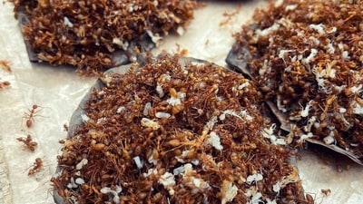 The tribal dish has also gained mainstream popularity in the last decade.