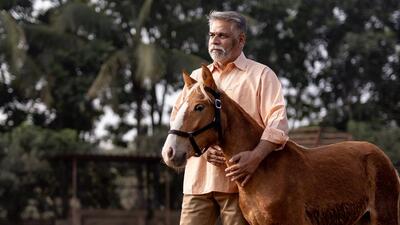 Ranjeet Pawar plans to introduce Bhimthadi horses in sports like polo. (HT PHOTO) Ranjeet Pawar plans to introduce Bhimthadi horses in sports like polo. (HT PHOTO)
